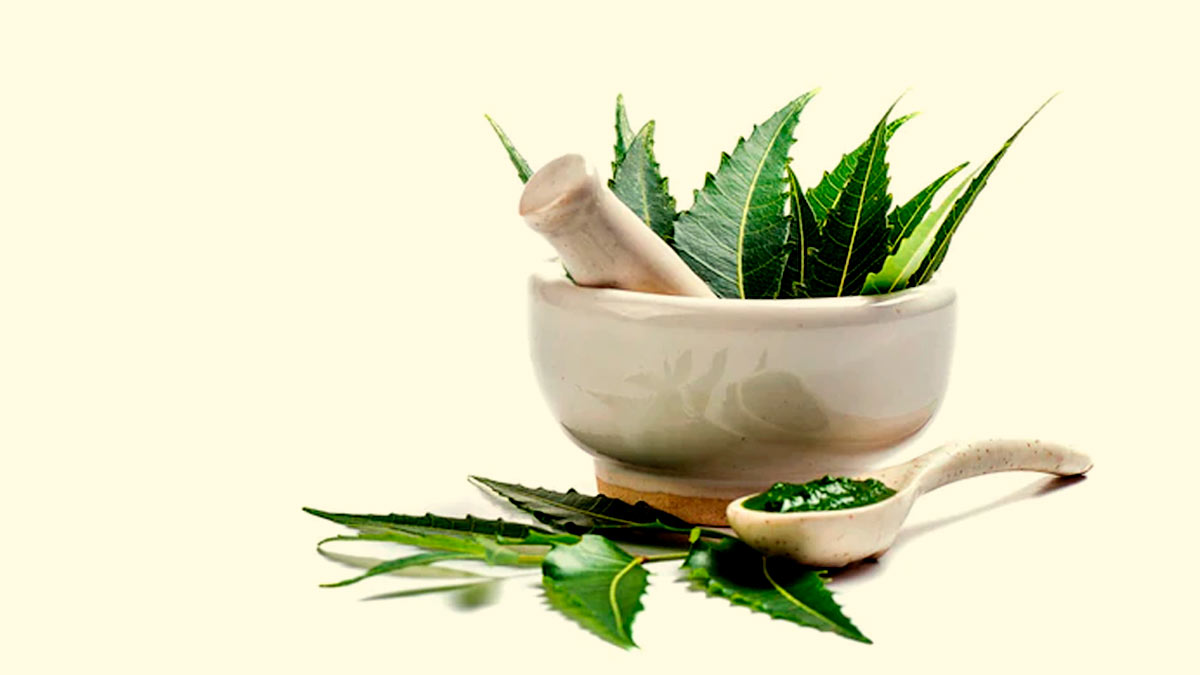 Health Benefits of Neem Tea
