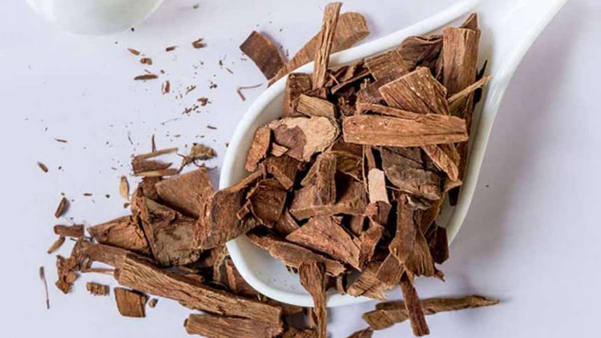 arjun bark for weight loss