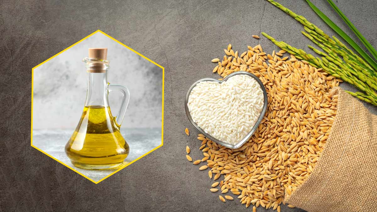 राइस ब्रान ऑयल है सेहत, स्किन और बालों के लिए बहुत फायदेमंद, जानें इसके 8 लाभ