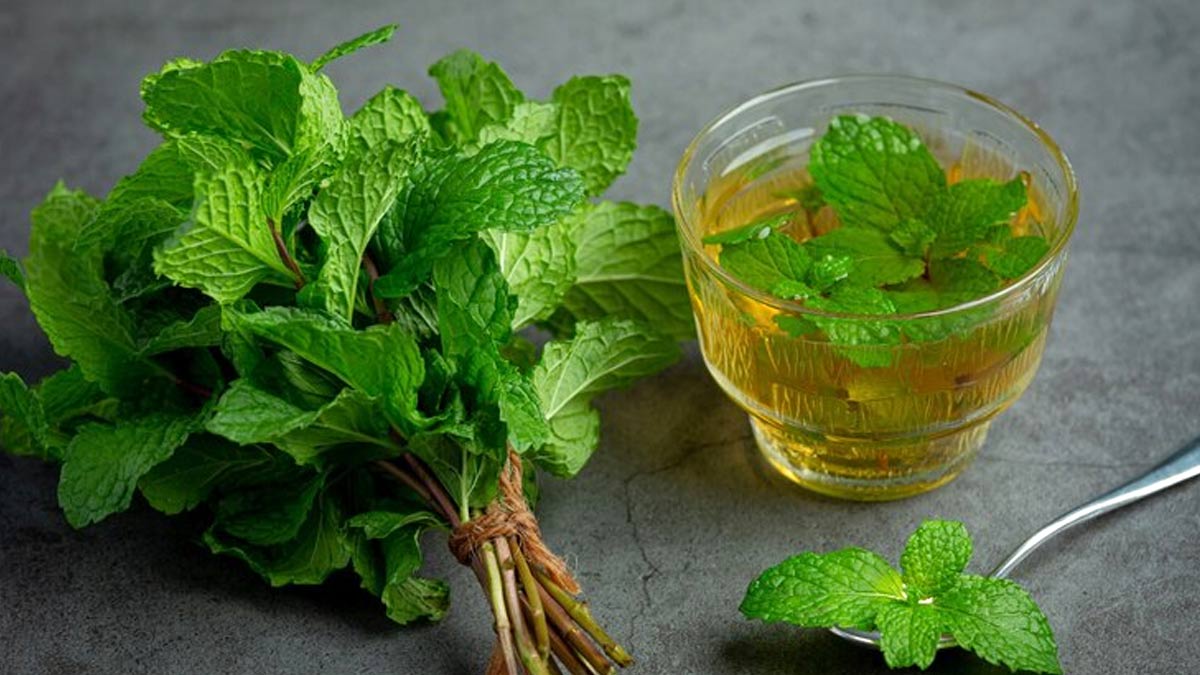 peppermint benefits for tooth pain