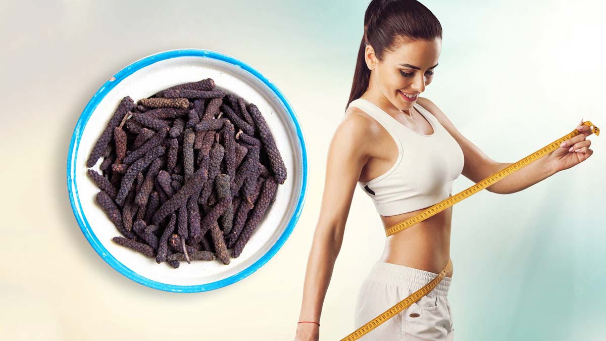 वजन घटाने में फायदेमंद है छोटी पिप्पली, जानें कैसे करें सेवन
