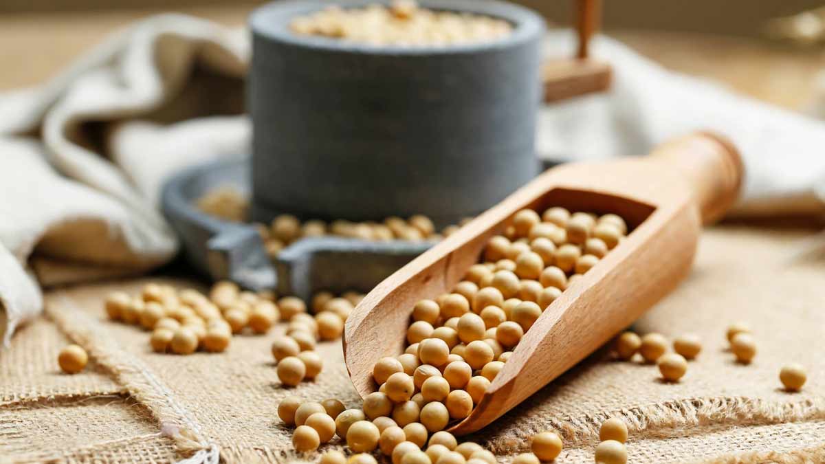 Soybean benefits in hindi