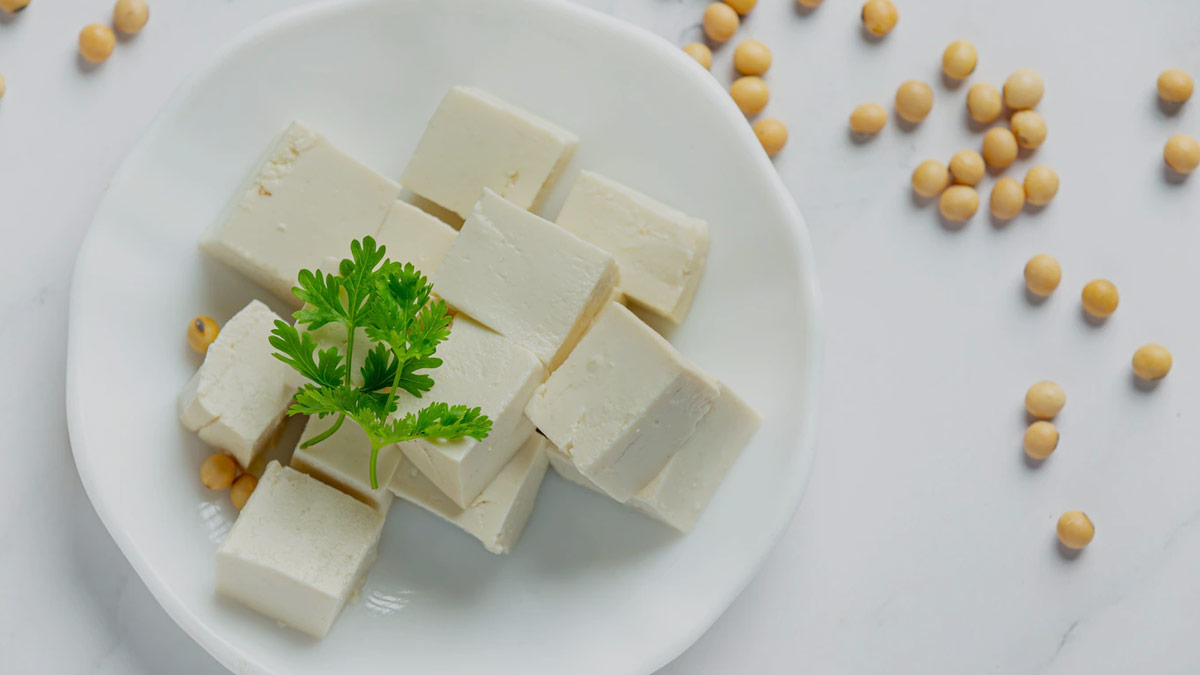 tofu for weight gain