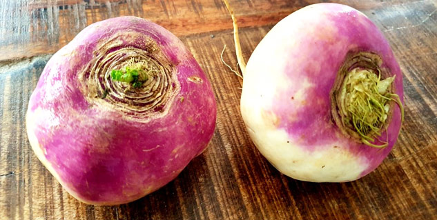 turnip