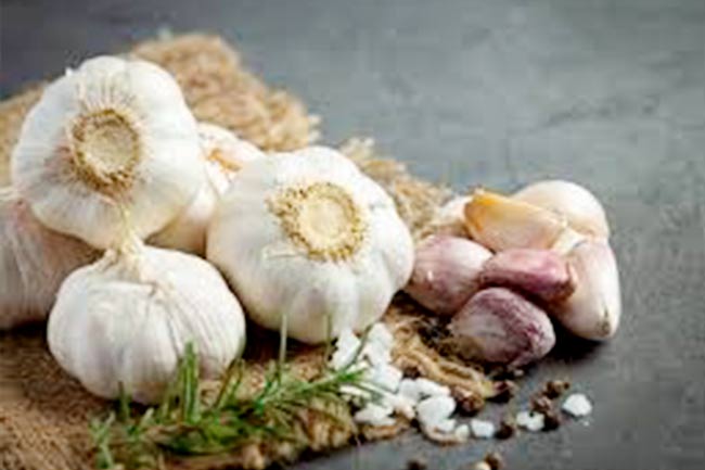 Garlic