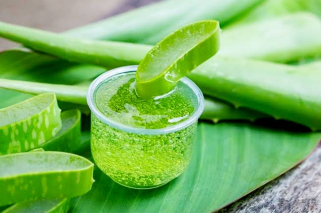 Aloe vera