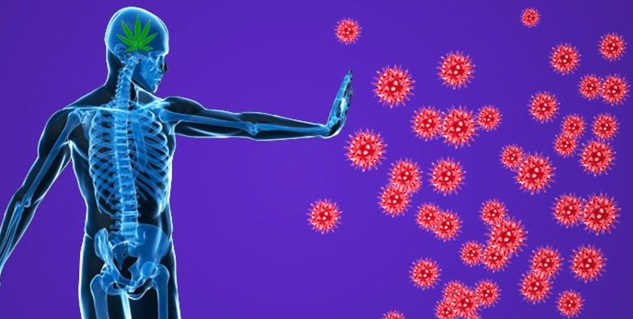 Types-of-Autoimmune-Diseases