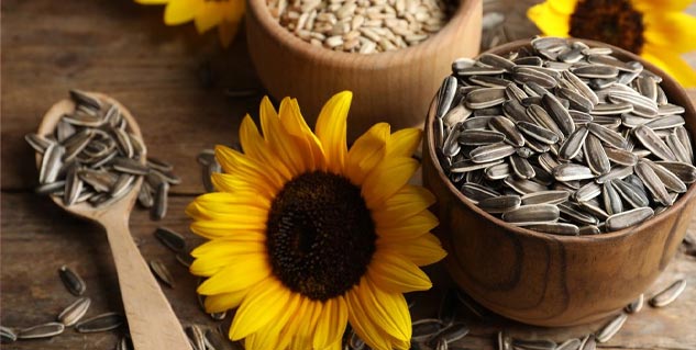 sunflower-seeds-benefits