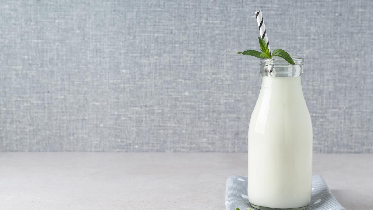 lassi