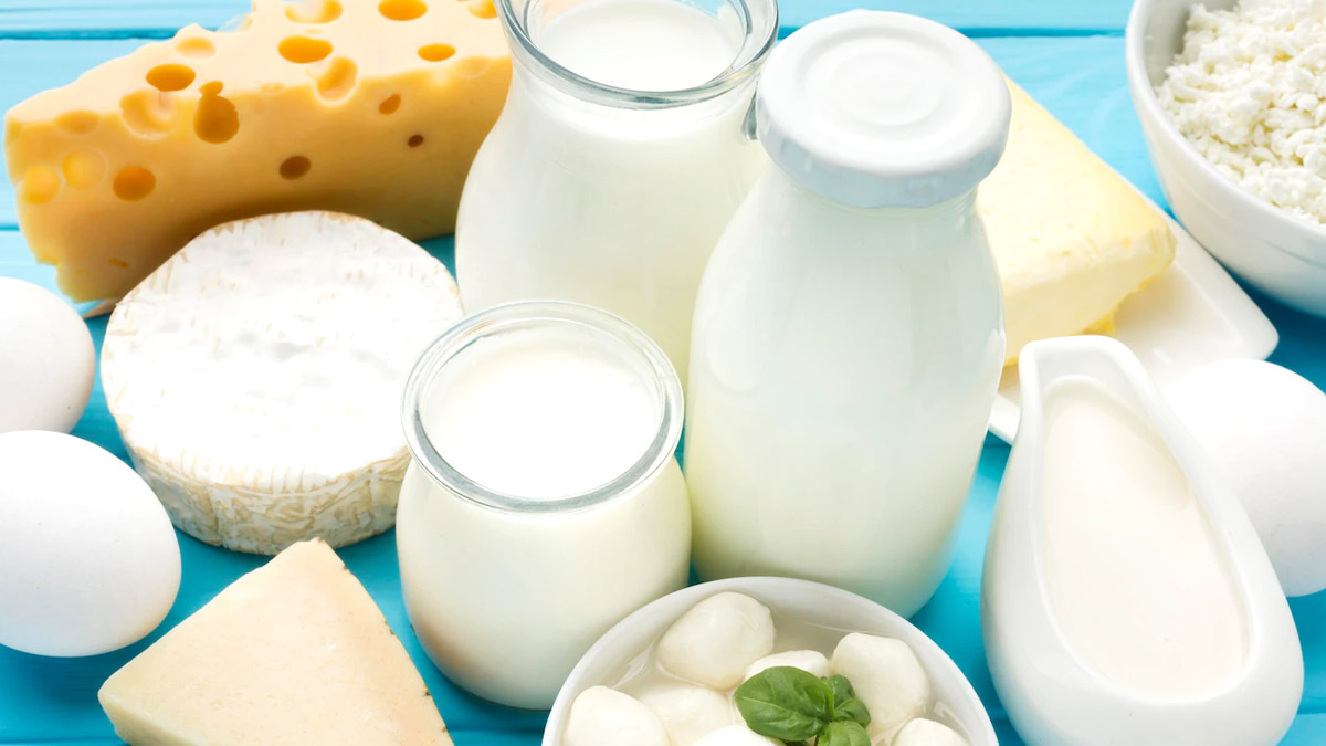 मोतमगहस