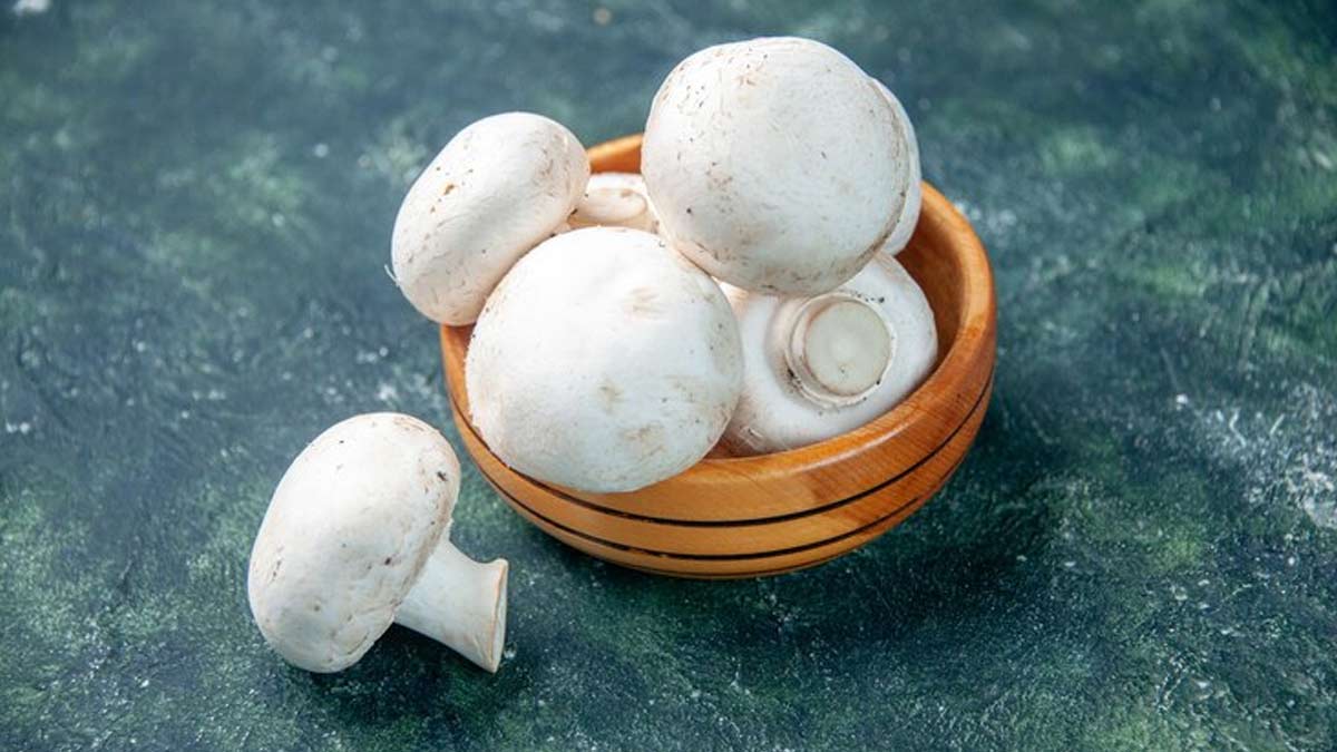 mushroom benefits