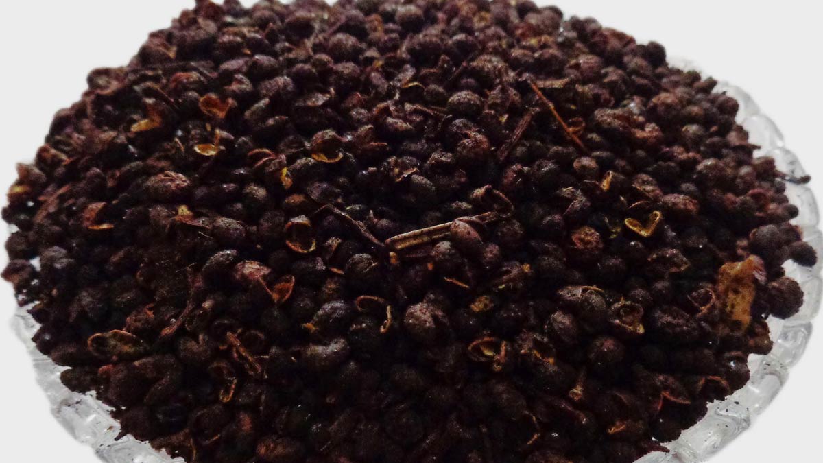 Timur Seeds Benefits in Hindi