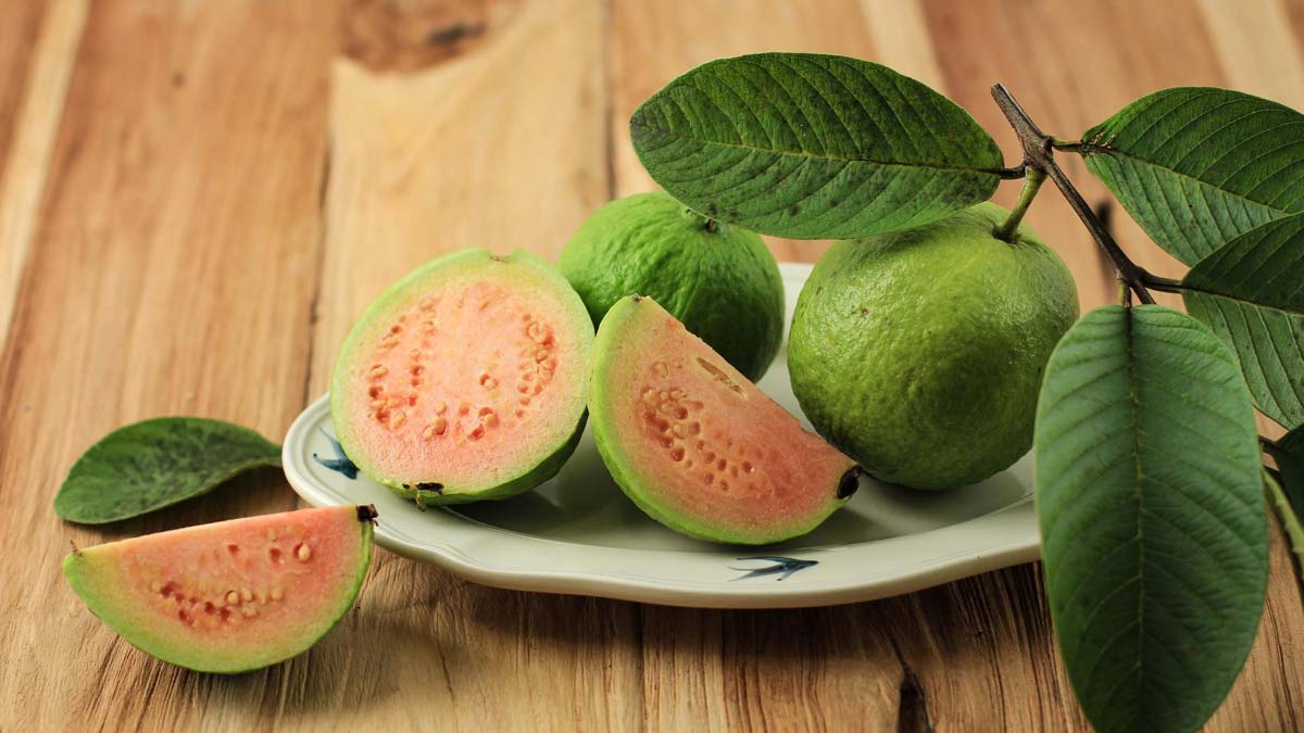 Guava Leaves For Diabetes In Hind