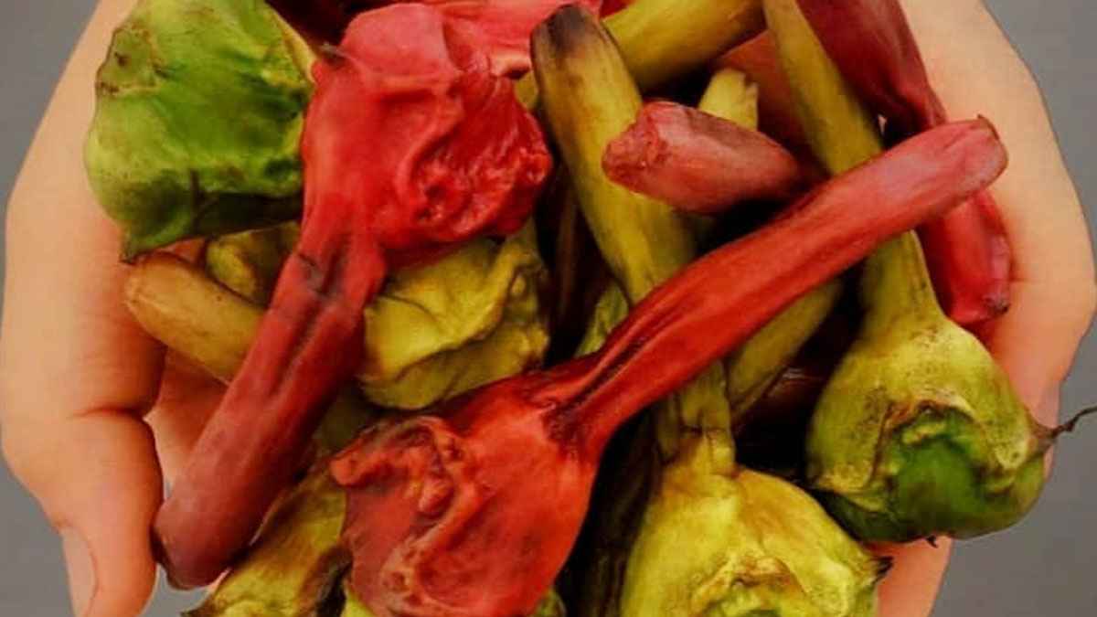 singhare ke aate kaise khaye