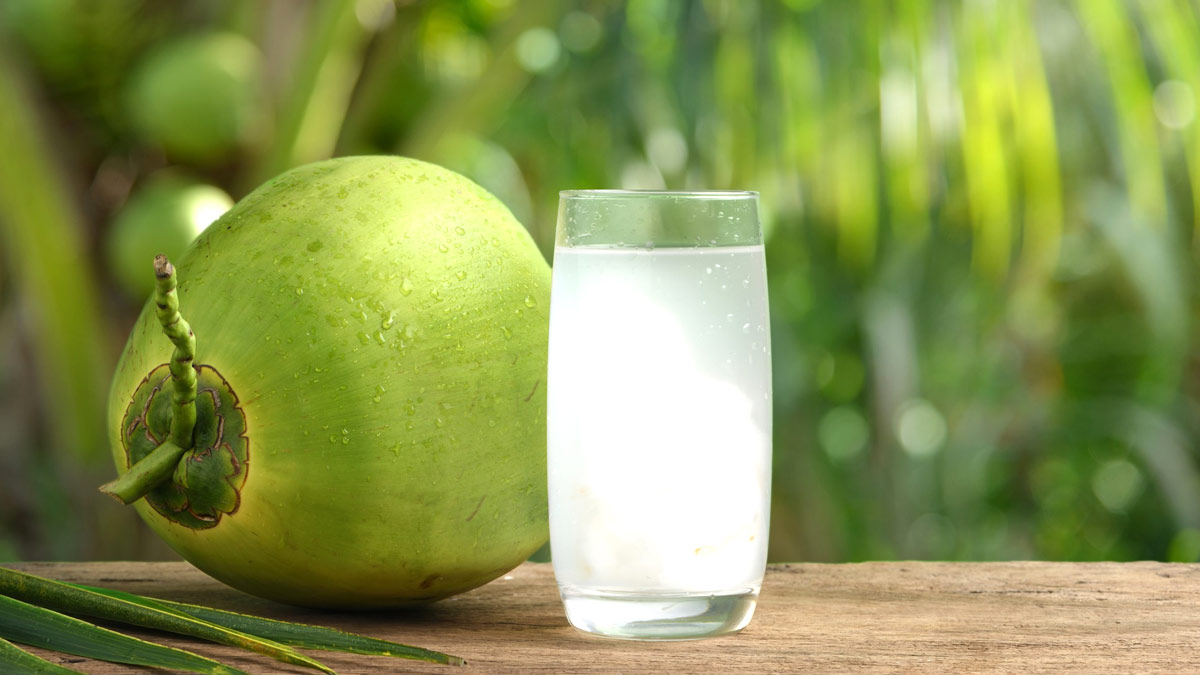 Fever-Recovery-Foods