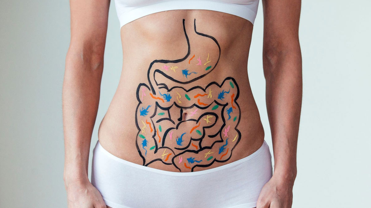 fennel powder for digestion