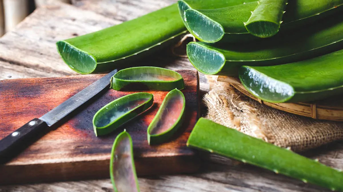 aloe vera for soft skin