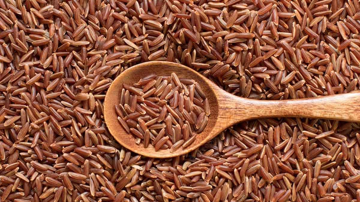 red rice for Weight Loss