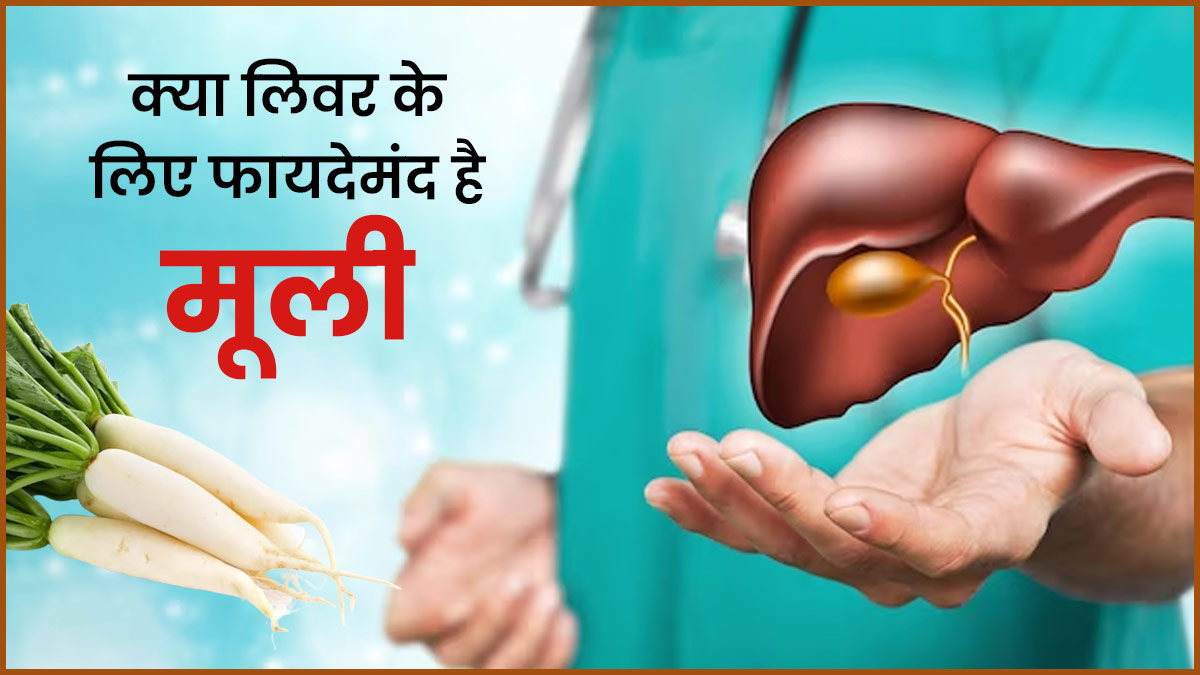लिवर के लिए बहुत फायदेमंद होती है मूली, एक्सपर्ट से जानें क्या है कारण