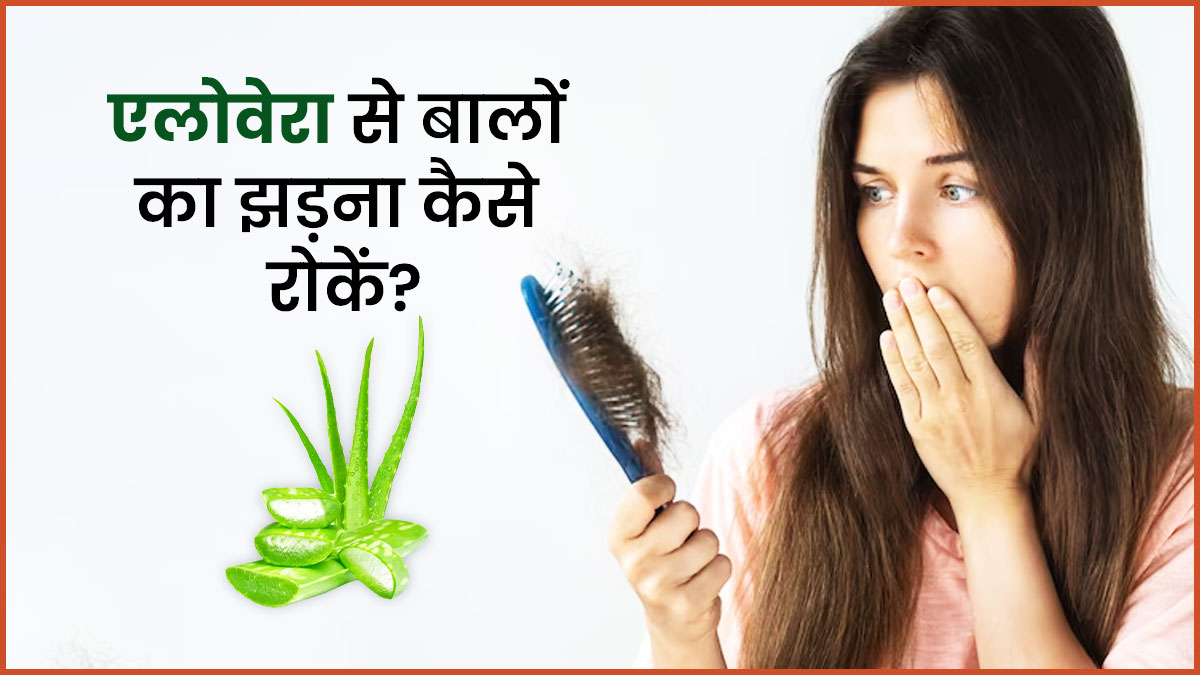 एलोवेरा से बालों का झड़ना कैसे रोकें? जानें 3 तरीके, जिनसे मिलेगा हेयर फॉल से छुटकारा