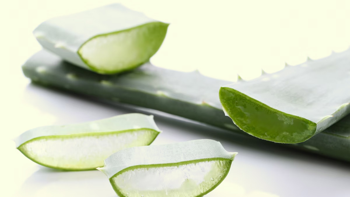 Herpes-Ayurevdic-Remedies