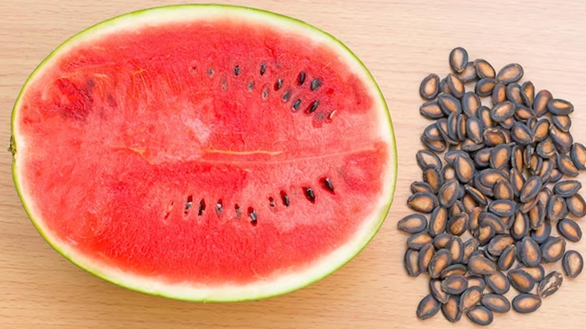 Watermelon Seeds For Weight Loss In Hindi