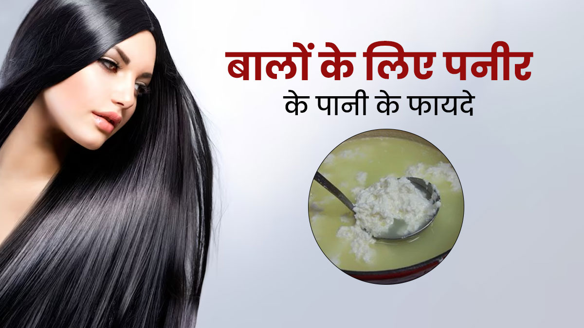 पनीर का बचा हुआ पानी दूर करता है बालों की कई समस्याएं, जानें इसके प्रयोग का तरीका