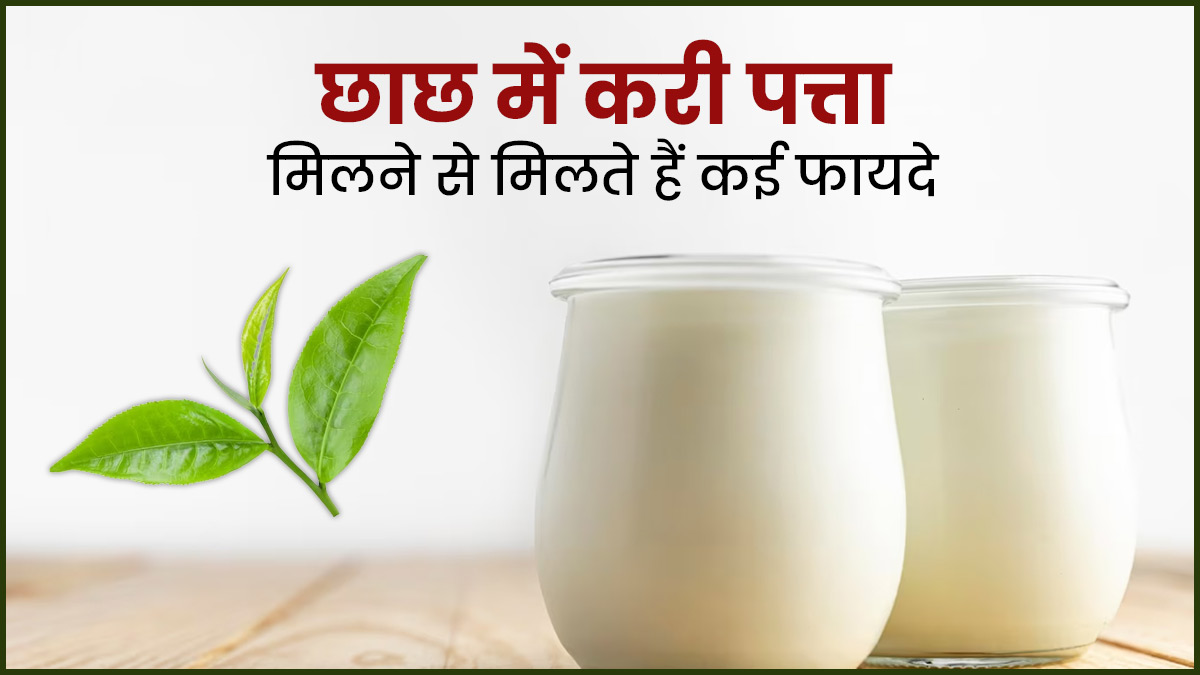 छाछ में करी पत्ता मिलाकर पीने से मिलते हैं कई फायदे, वजन रहता है कंट्रोल