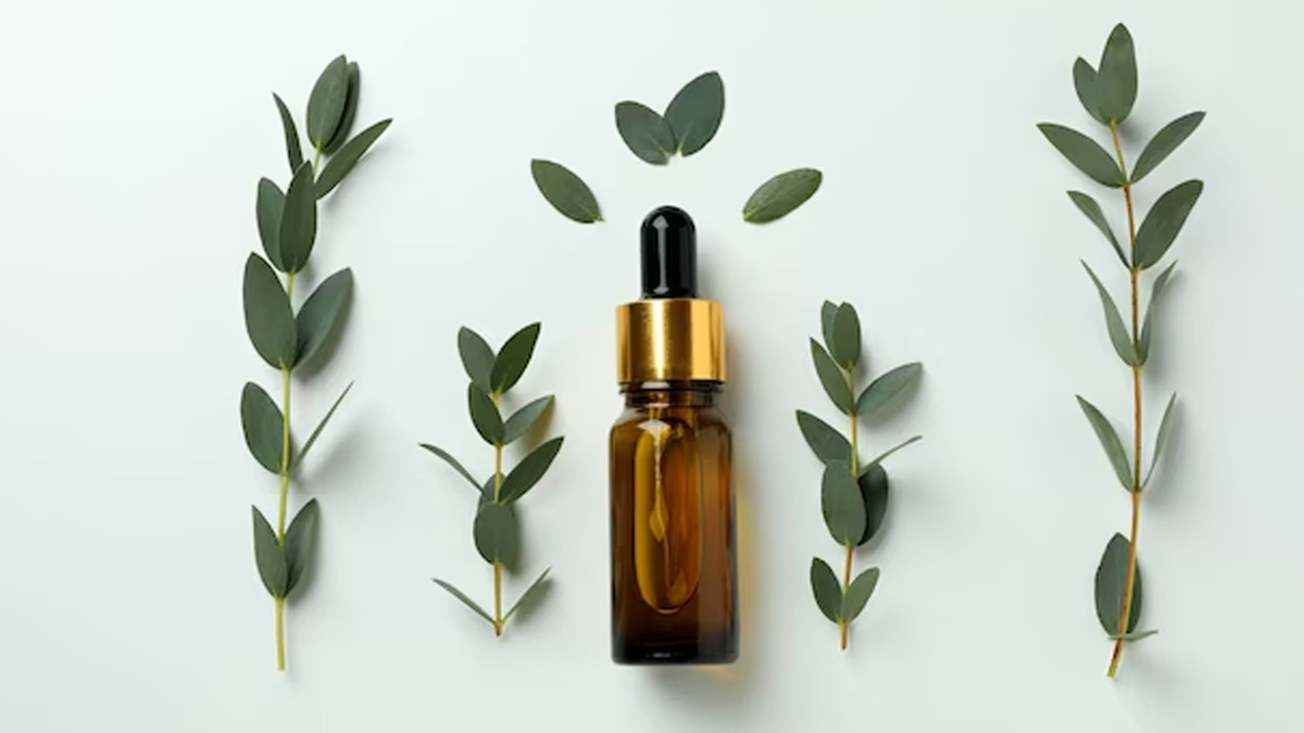 nilgiri oil benefits