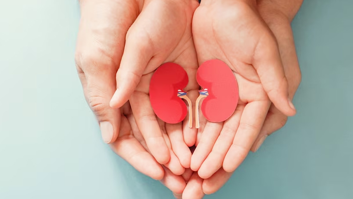 How To Improve Kidney Function Naturally in hindi