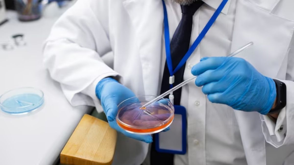 Normal Range Of Liver Function Test