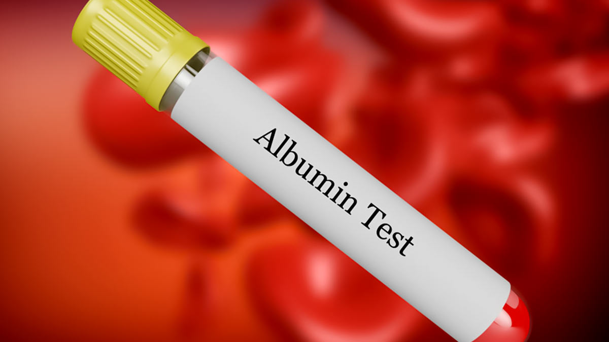 albumin test in hindi