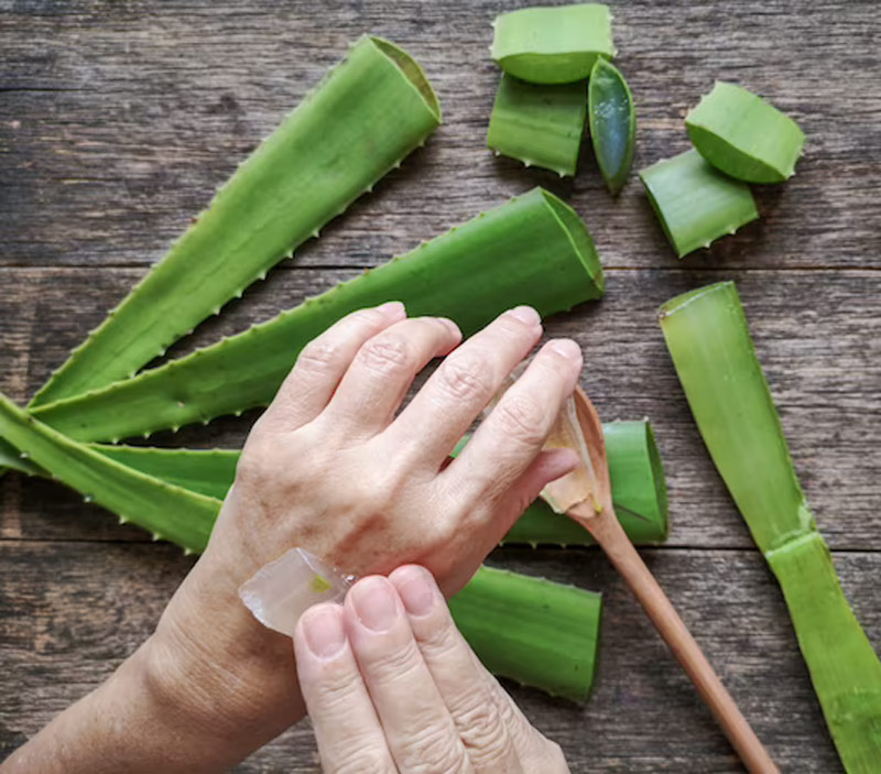 Does Using Aloe Vera Makes Skin Darker