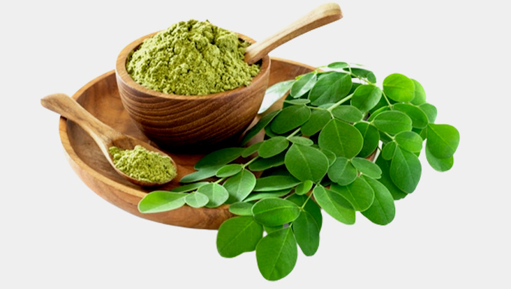Can We Take Moringa Powder Daily