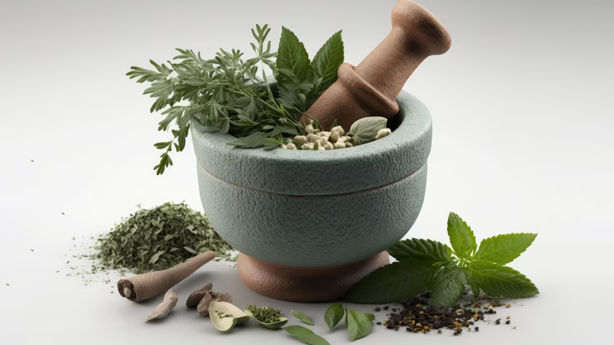 Herbs To Treat Piles Effectively