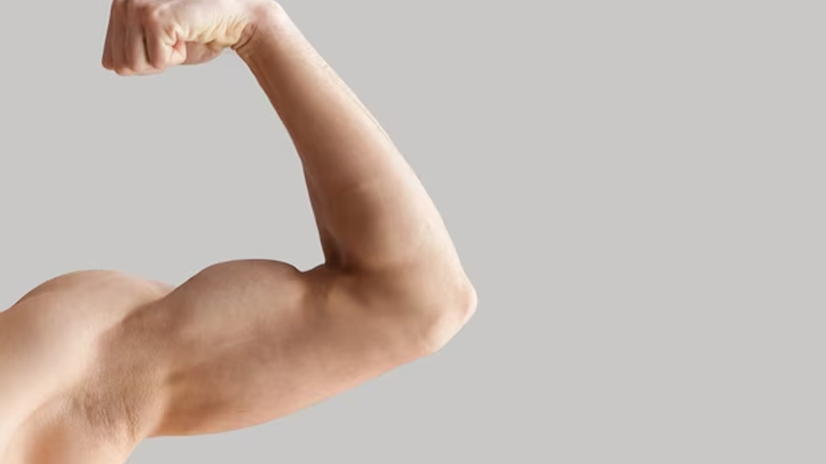 Body Recomposition Diet