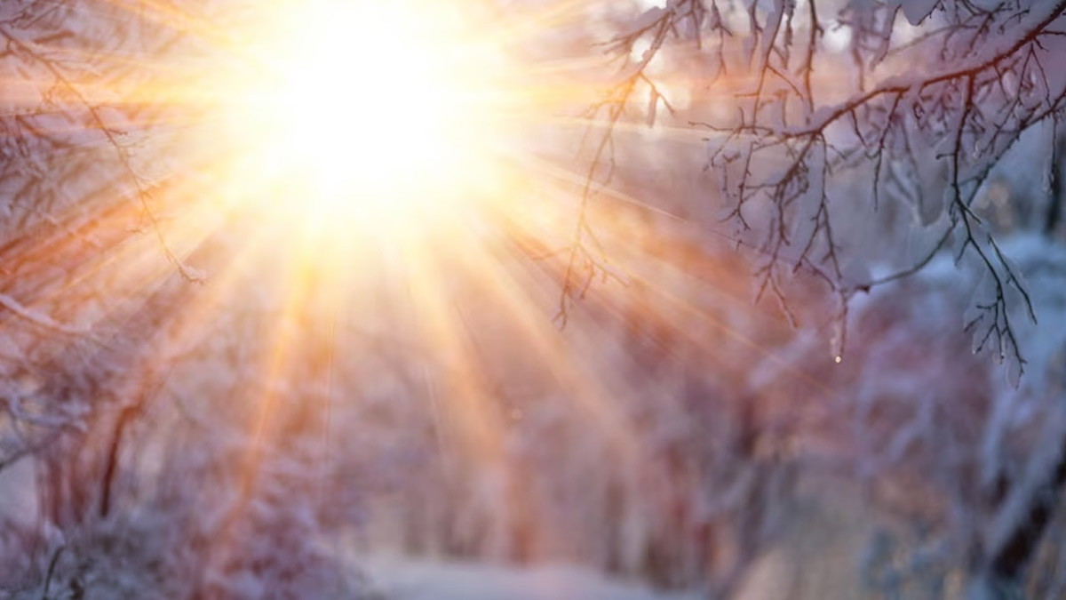 Tips for Boosting Vitamin D During Winter Mornings
