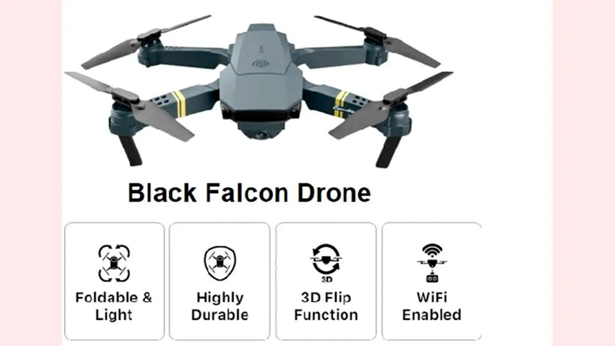 Standout Features of Black Falcon
