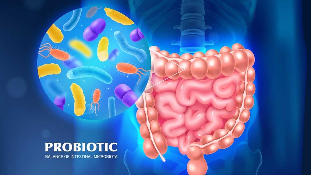gut-microbiome