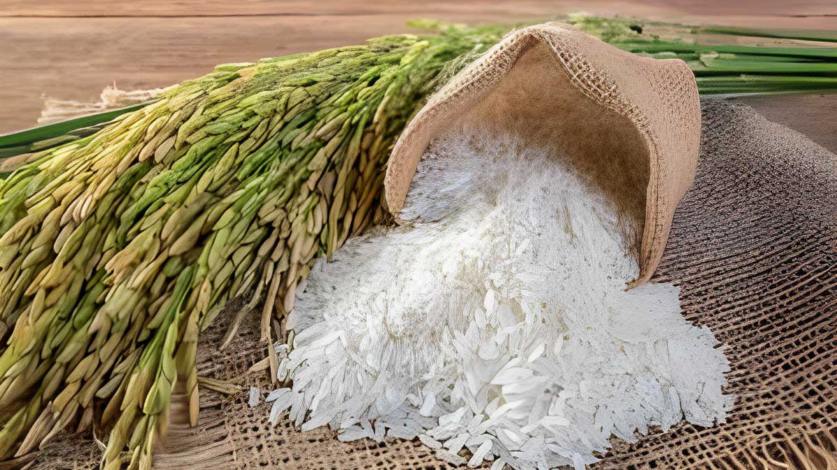 Alternative To White Rice: Expert Lists Health Benefits Of Jasmine Rice 