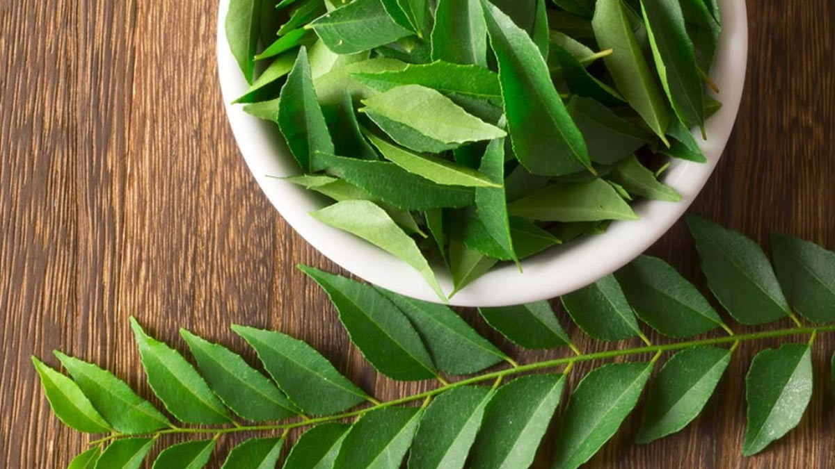 Curry Leaves For Morning Sickness