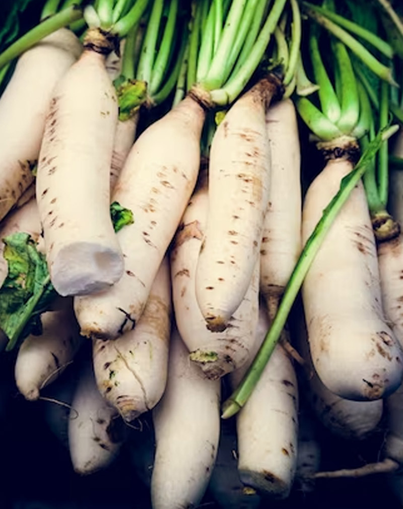 Radish Benefits For Piles In Hindi