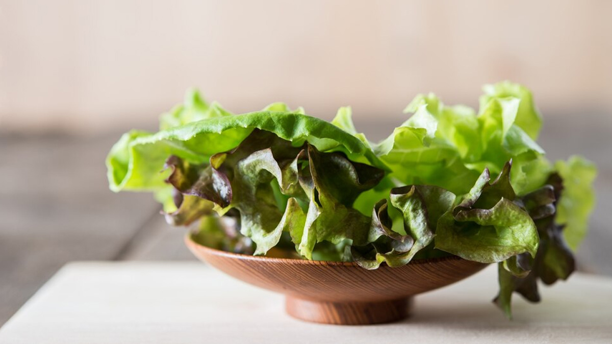 kale benefits in hindi