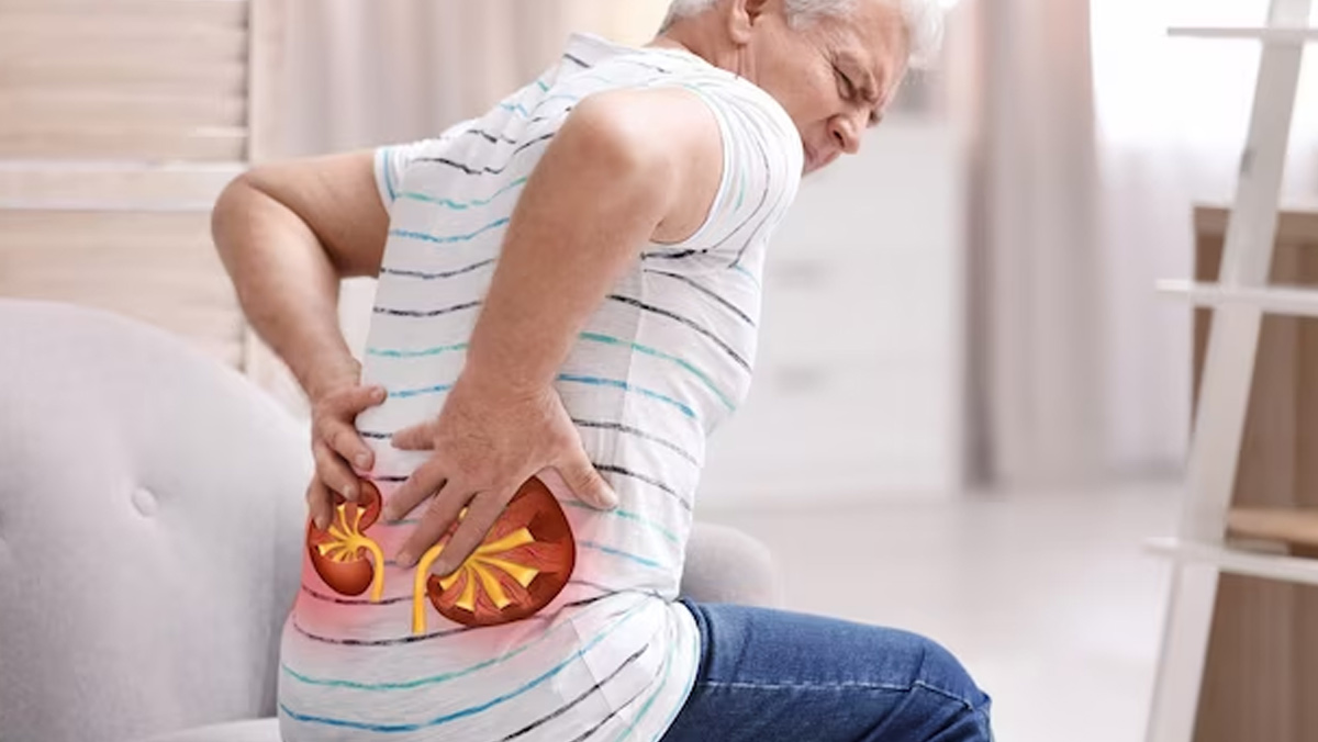 Can Holding In Urine Cause Kidney Stones