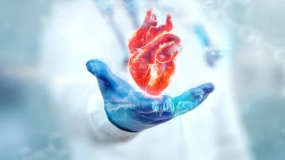 heart