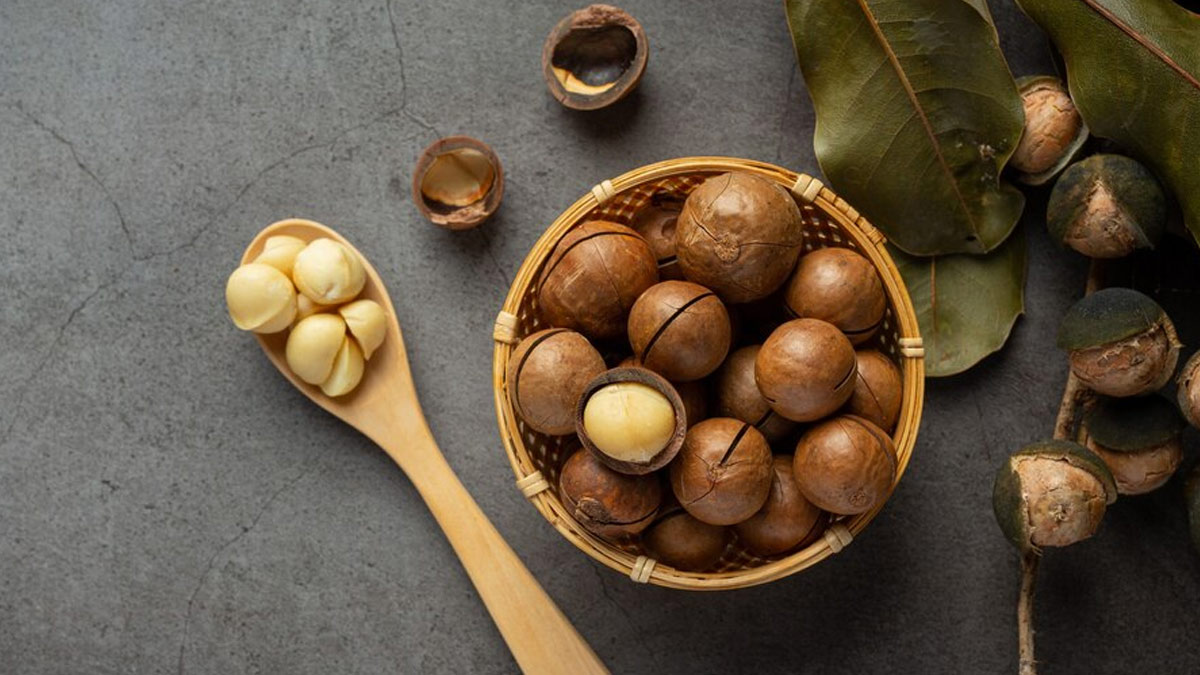 Health benefits of macadamia nuts