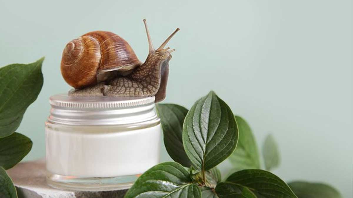 snail-mucin-for-skincare
