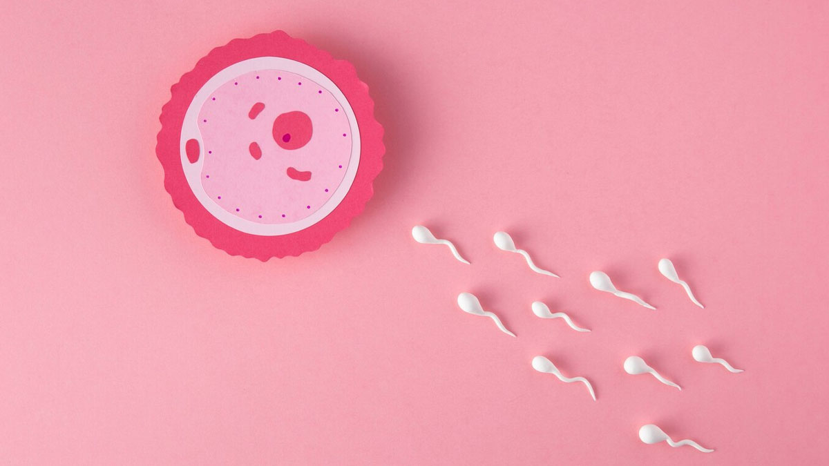fertility