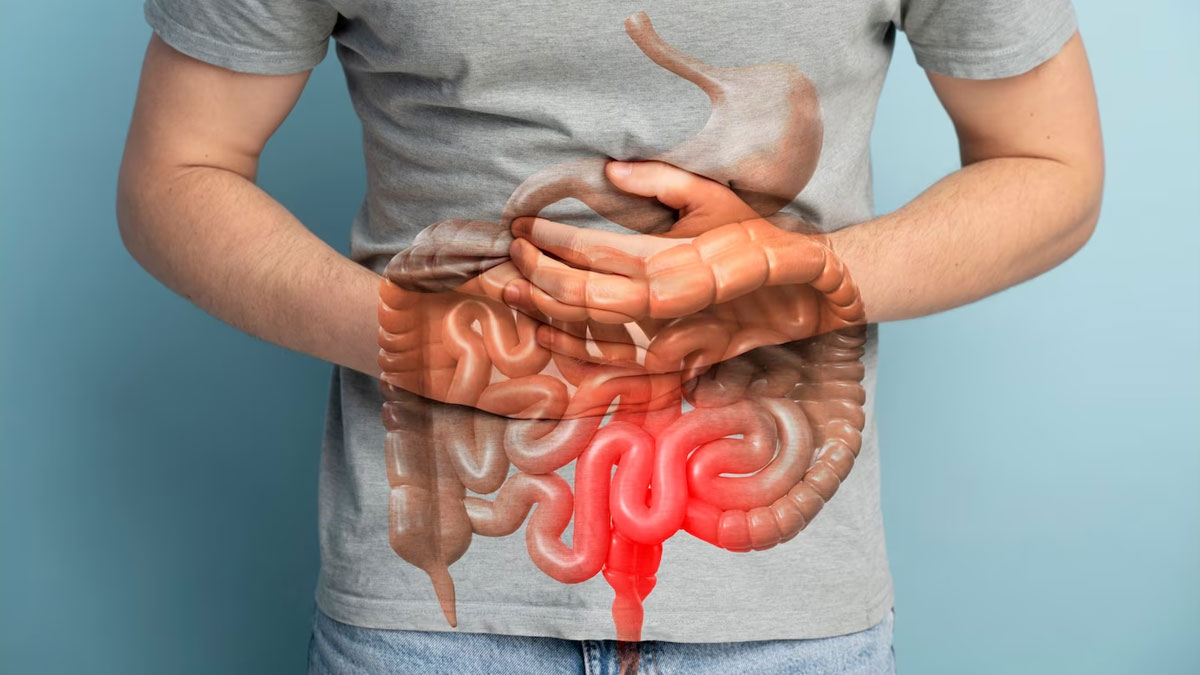 Nutmeg Benefits For Digestion In Hindi