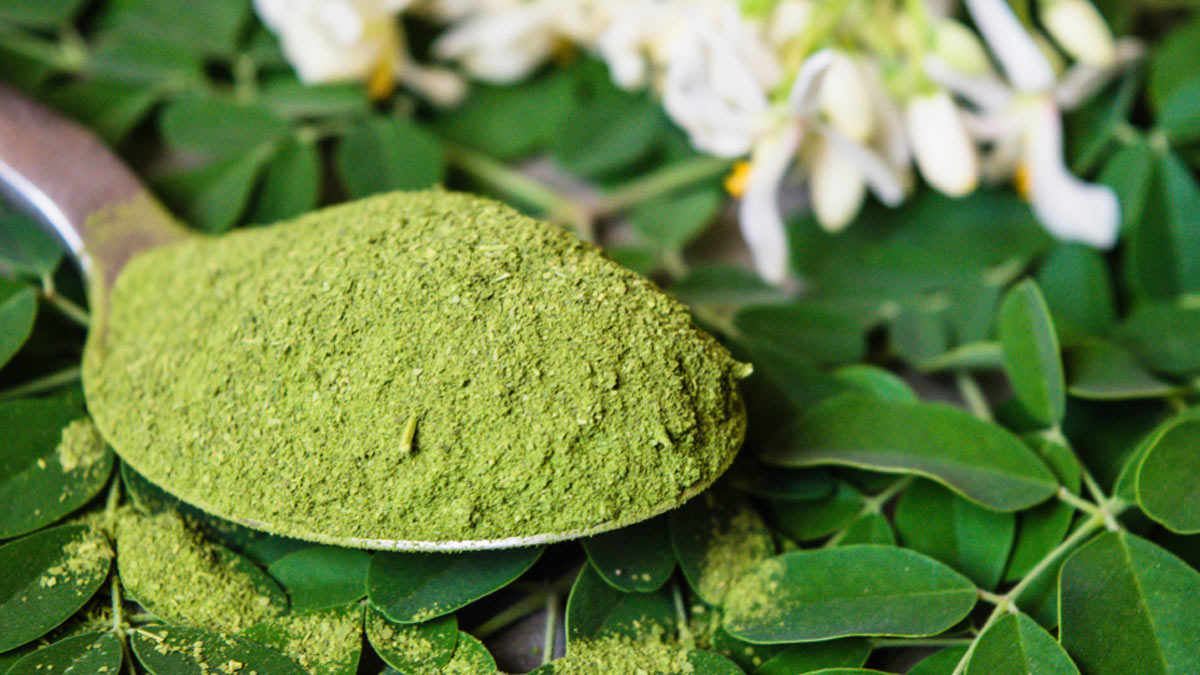 moringa